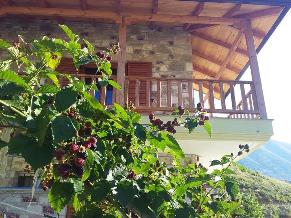 Hostel Bujtina Hader Xhebro Tepelene Exterior foto